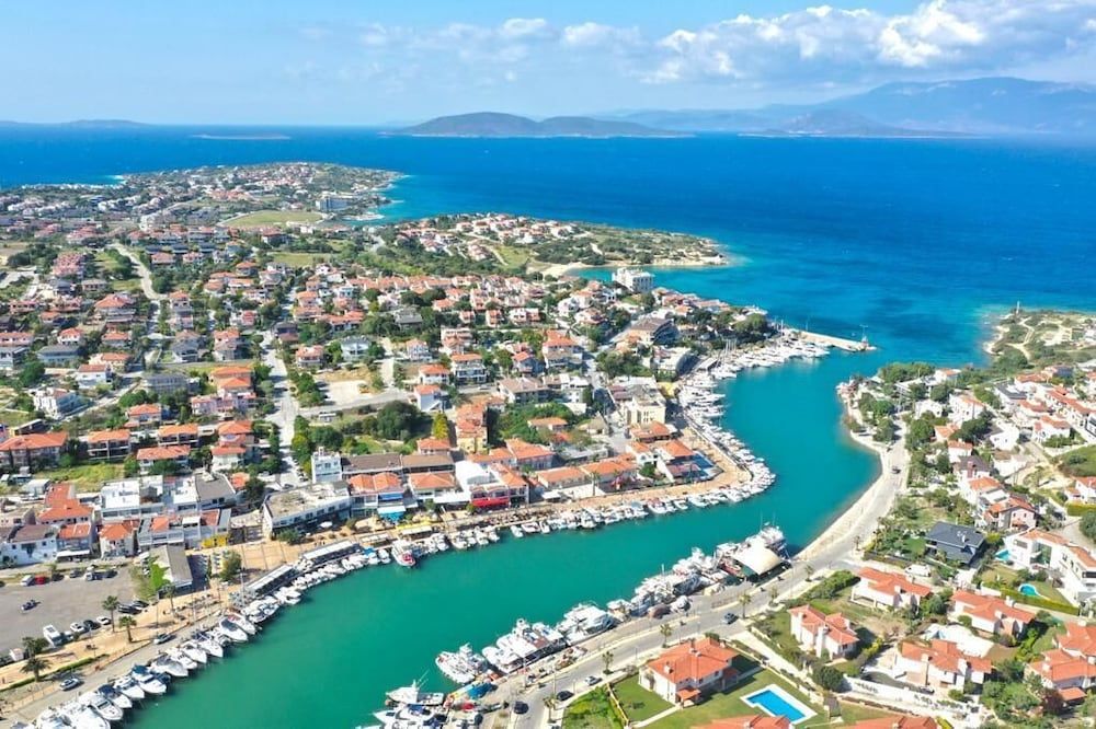 undefined Delice Mavi 4