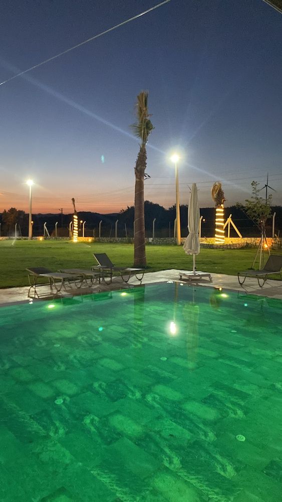 undefined Enginar çiçeği 9