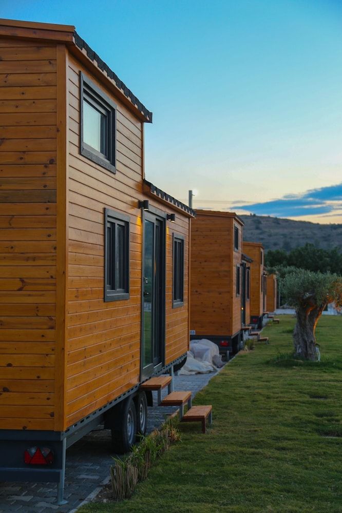 undefined Enginar çiçeği 5