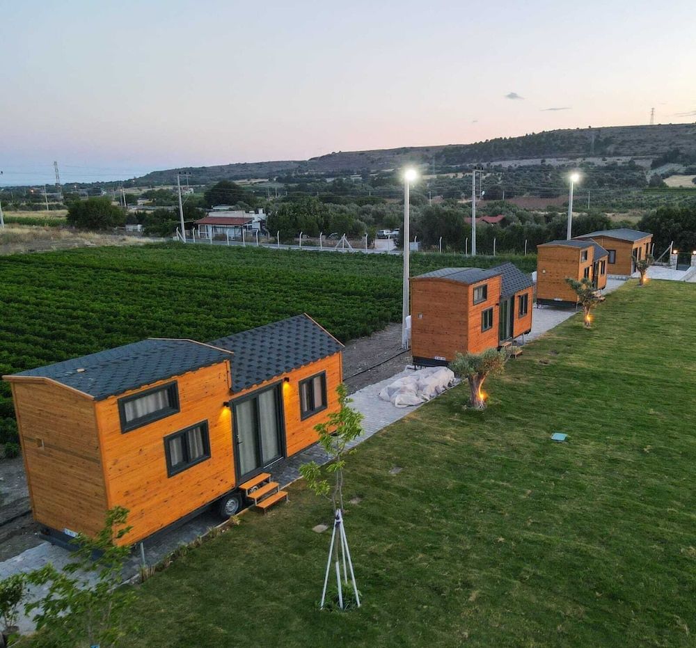 undefined Enginar çiçeği 4