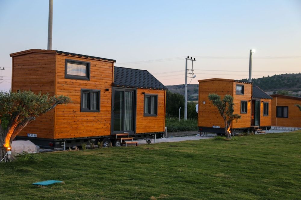 undefined Enginar çiçeği