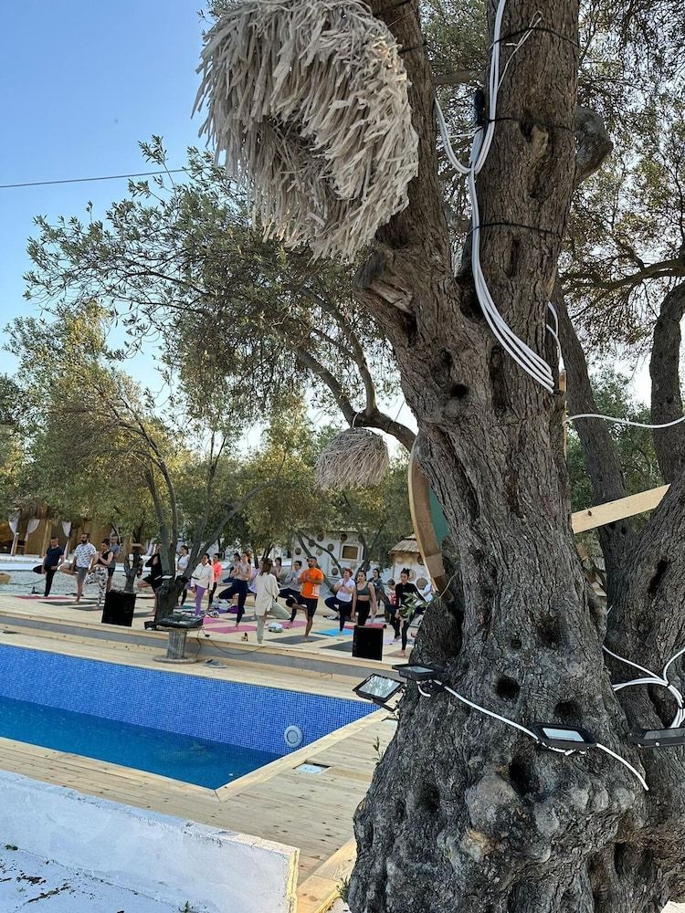 undefined HACIMEMIS ARENA 3