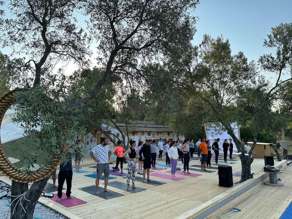 undefined HACIMEMIS ARENA 5