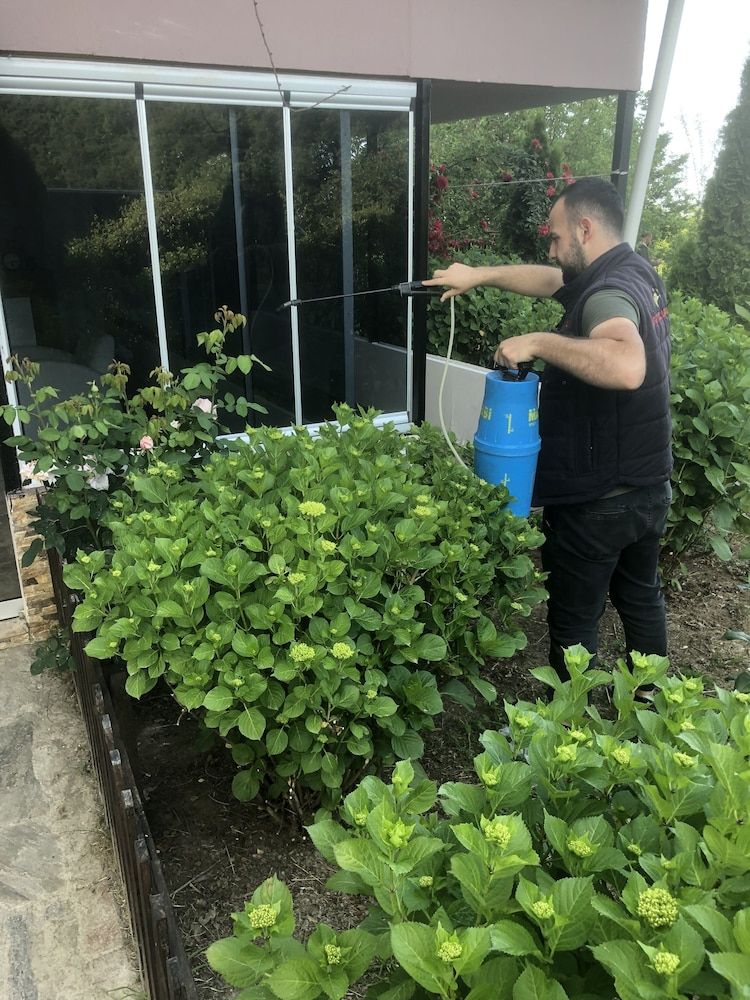 undefined LUSTRA GARDEN SUITE 8