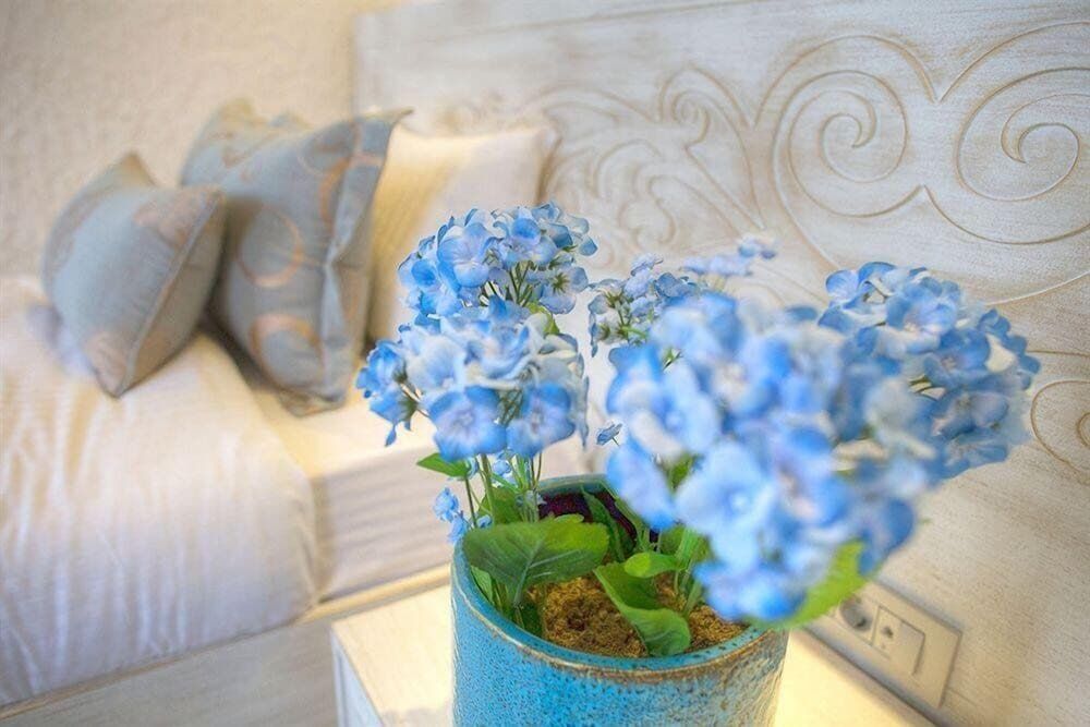 Elegance Asia Hotel Deluxe Room 2