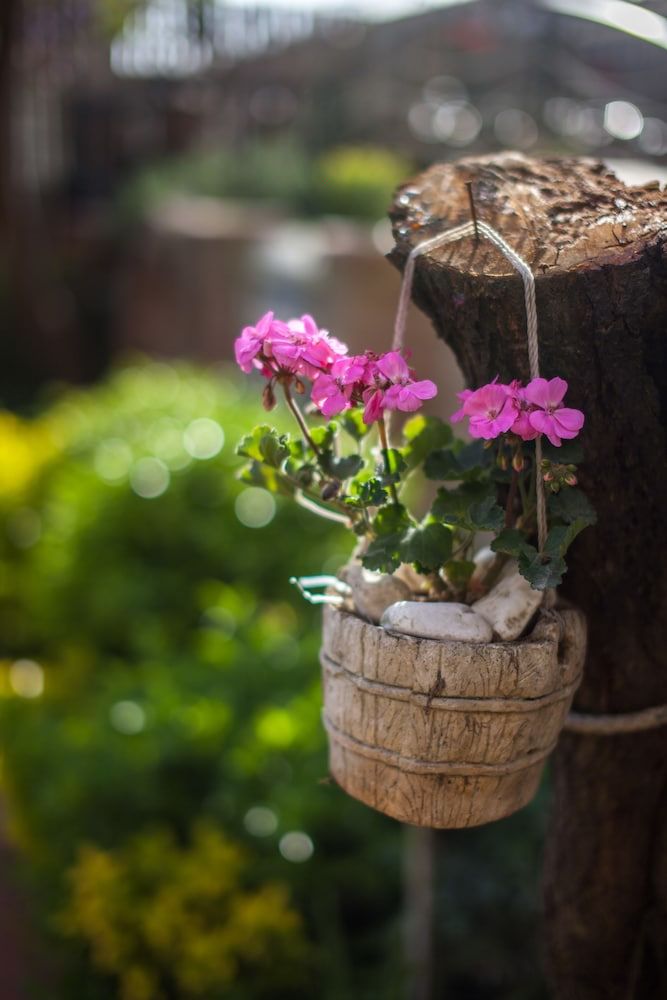 undefined Garden Apart 7