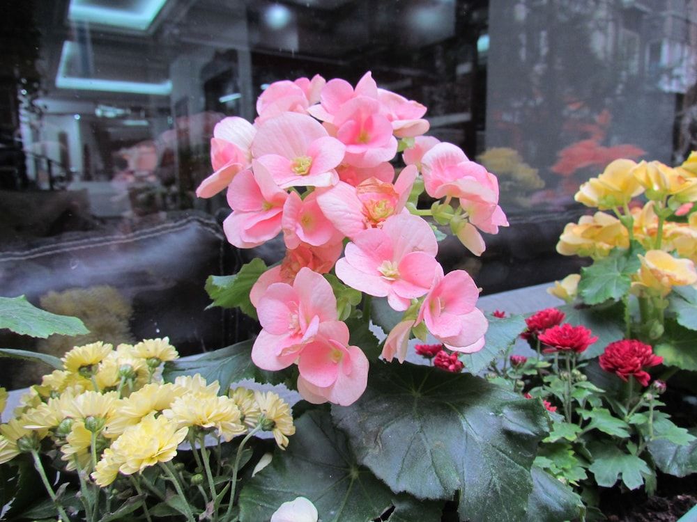 undefined Hotel Promise 2