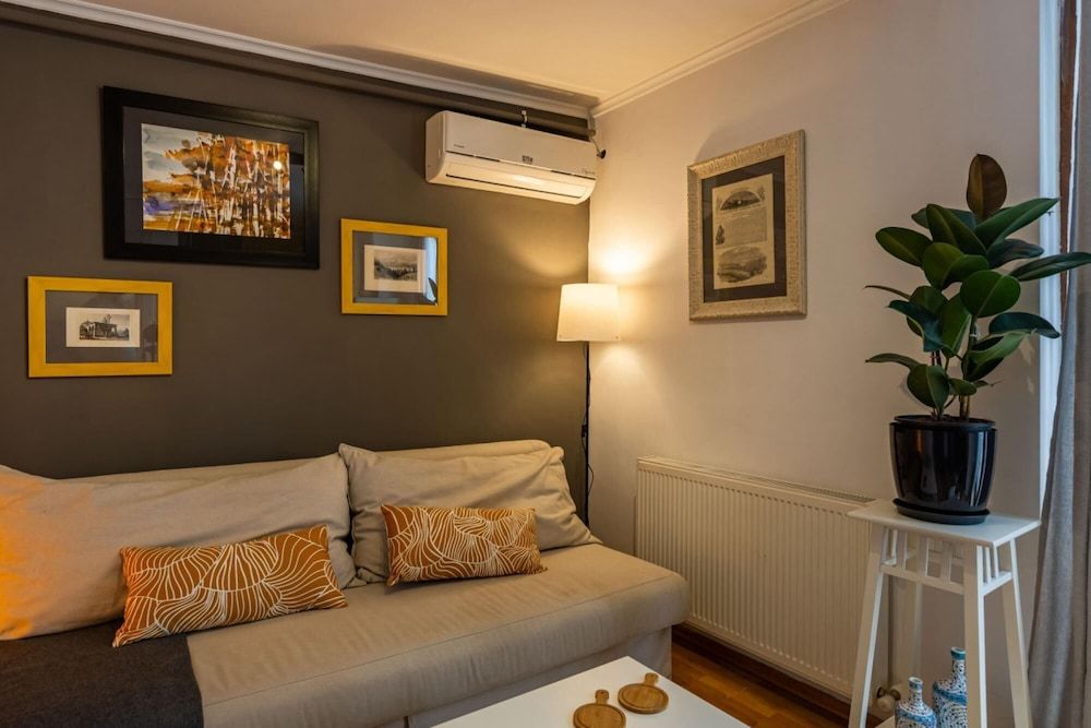 undefined Splendid Flat With Terrace Near Istiklal Street 6