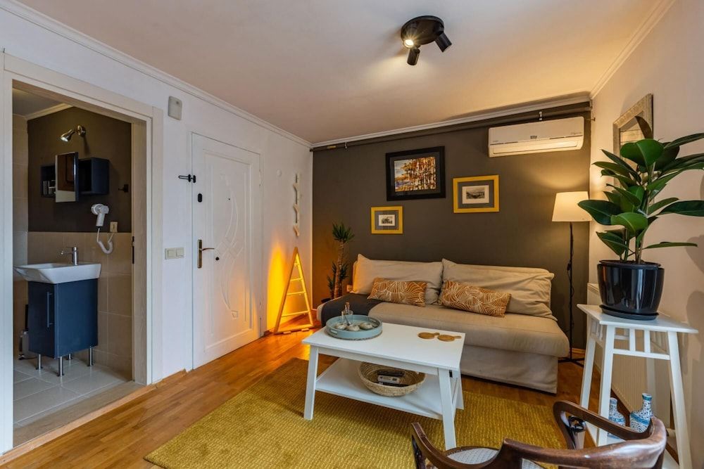 undefined Splendid Flat With Terrace Near Istiklal Street 5