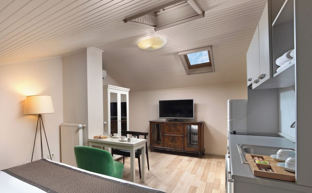 Meroddi Galata Flats Standard Loft 6