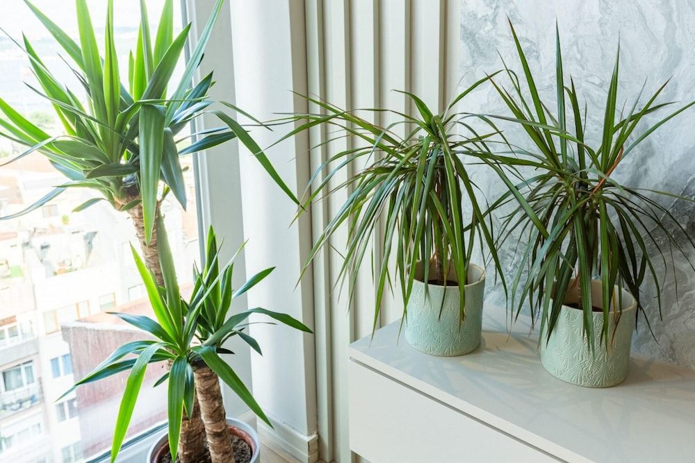 undefined Central Apartment With Bosphorus View in Cihangir 4