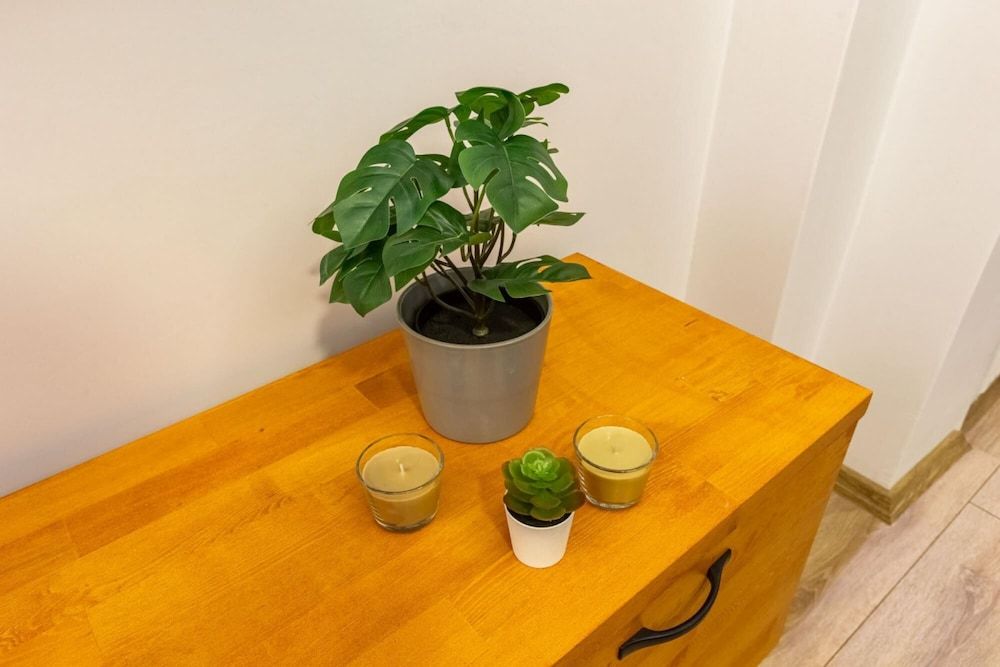 Missafir Distinguished Flat With Backyard in Sisli Apartment 19