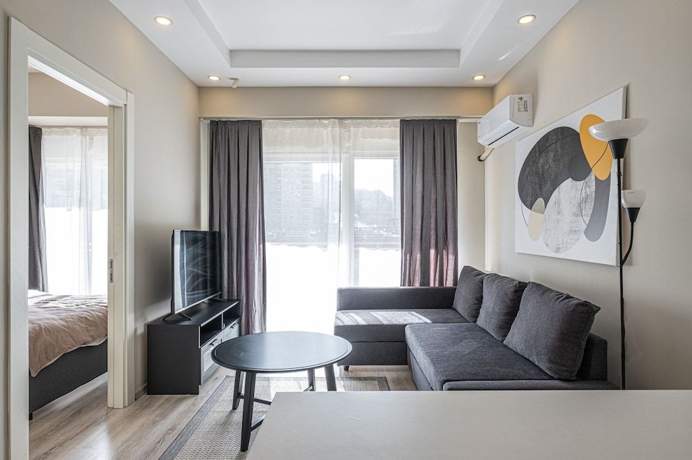 Classic Apartment, 1 King Bed with Sofa bed