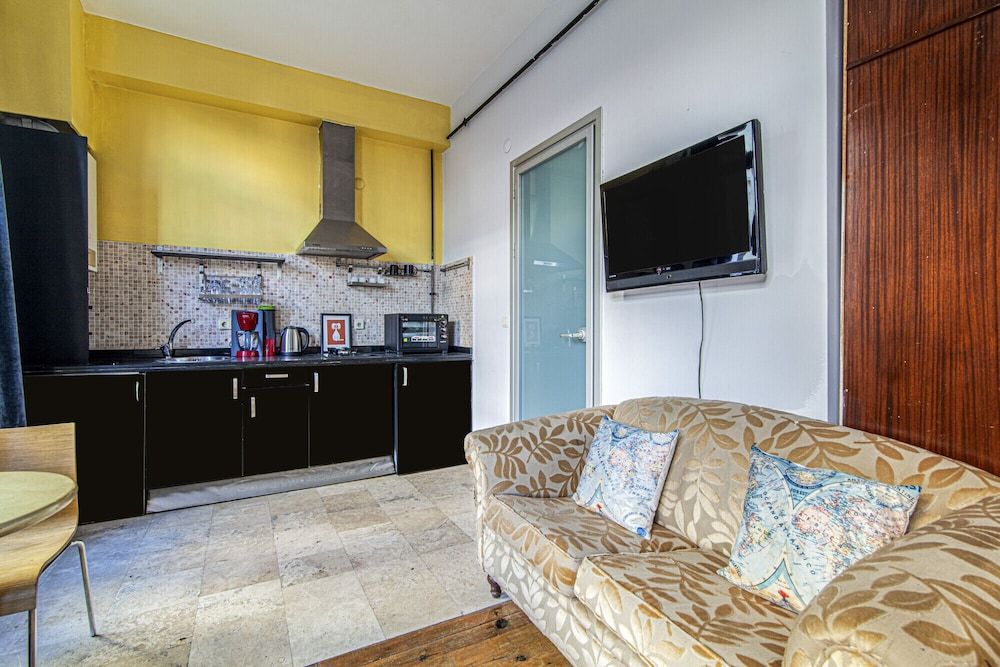 undefined Vibrant Flat With Excellent Location in Beyoglu 4