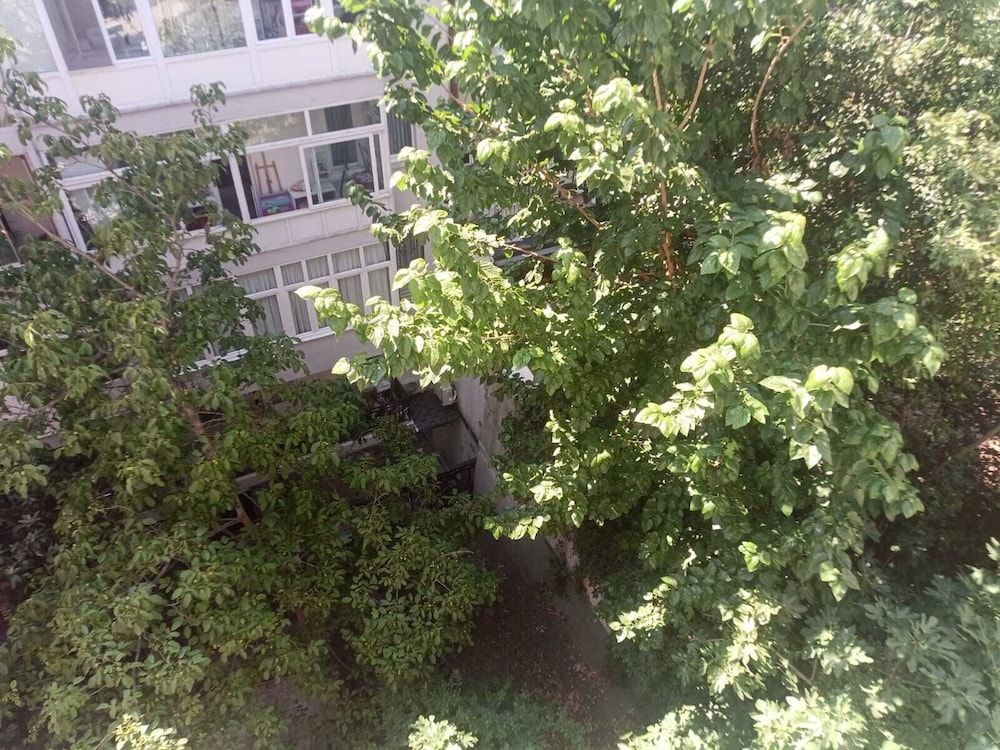 undefined Big Peace Suite 5