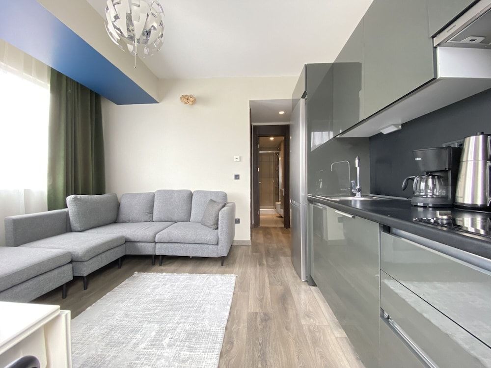 undefined Convenient Flat in Secured Residence in Kagithane 5