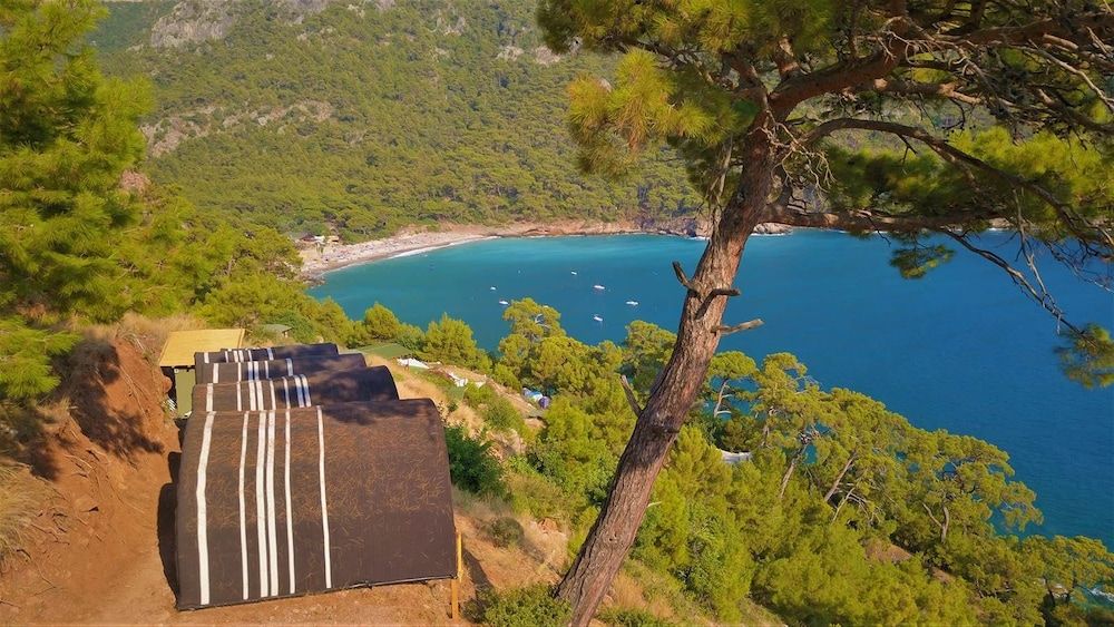 undefined Cosmos Lounge 5