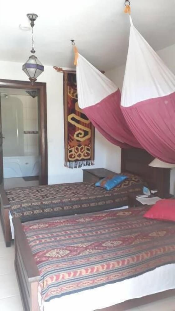 Lazy Lizard Boutique Hotel Comfort Room, 2 Twin Beds, Non Smoking, Pool View 4