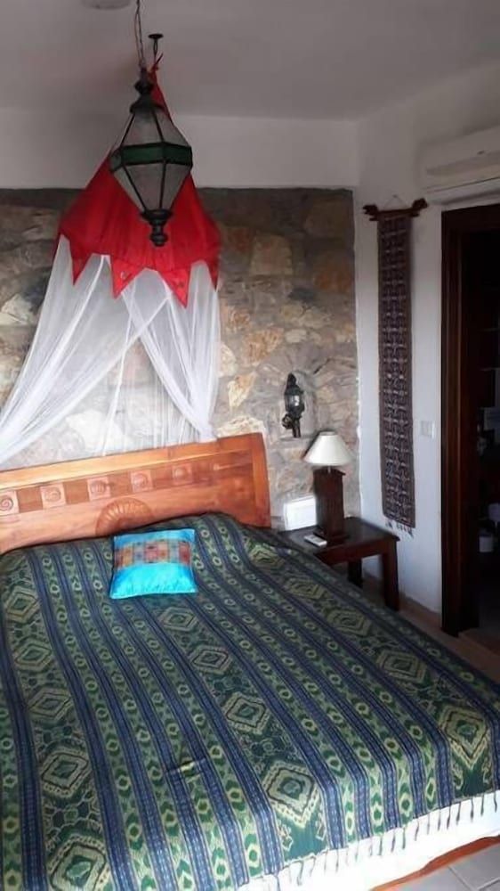 undefined Lazy Lizard Boutique Hotel 7