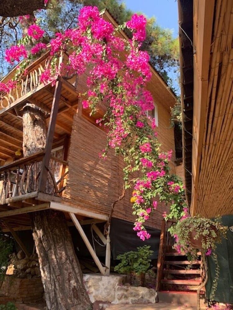 undefined Turan Hill Lounge 4