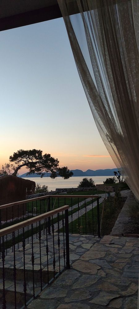 Rocas Roja Beach Hotel Comfort Tree House, Balcony, Garden View 3