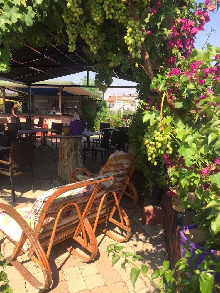 undefined Verdeport Hotel 3