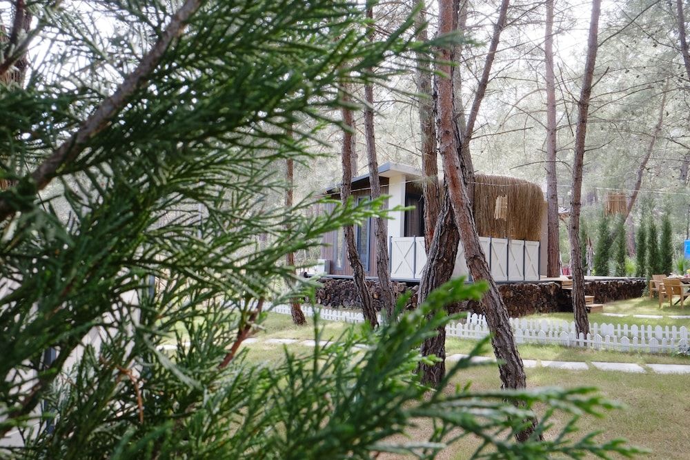 undefined Mossa Afkule 7