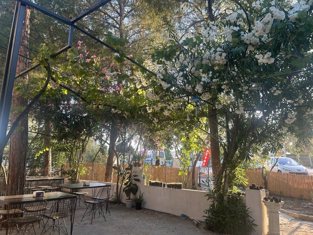 undefined Petunya Pansiyon 10