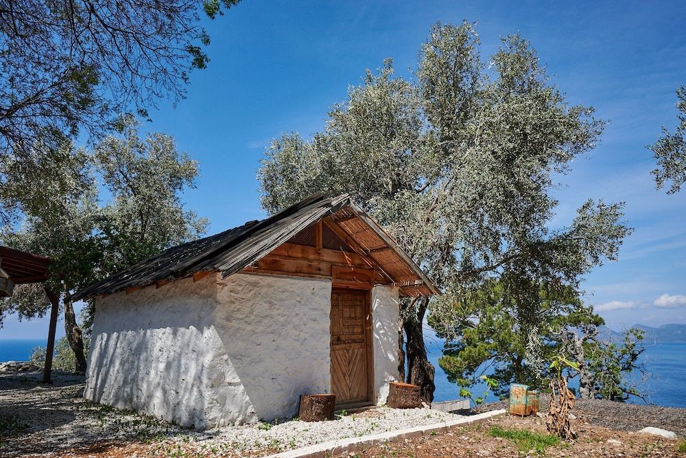 undefined SEASIDE FARALYA 4