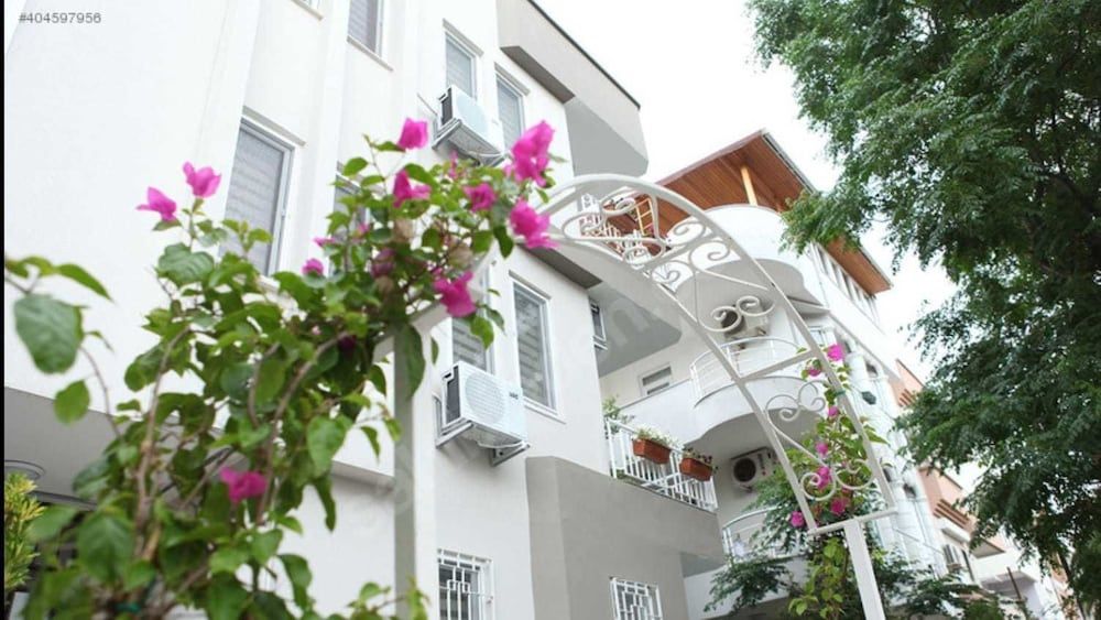 undefined Terrasuit 4