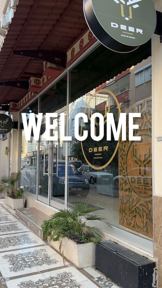 undefined Deer Hotel & Hostel 4