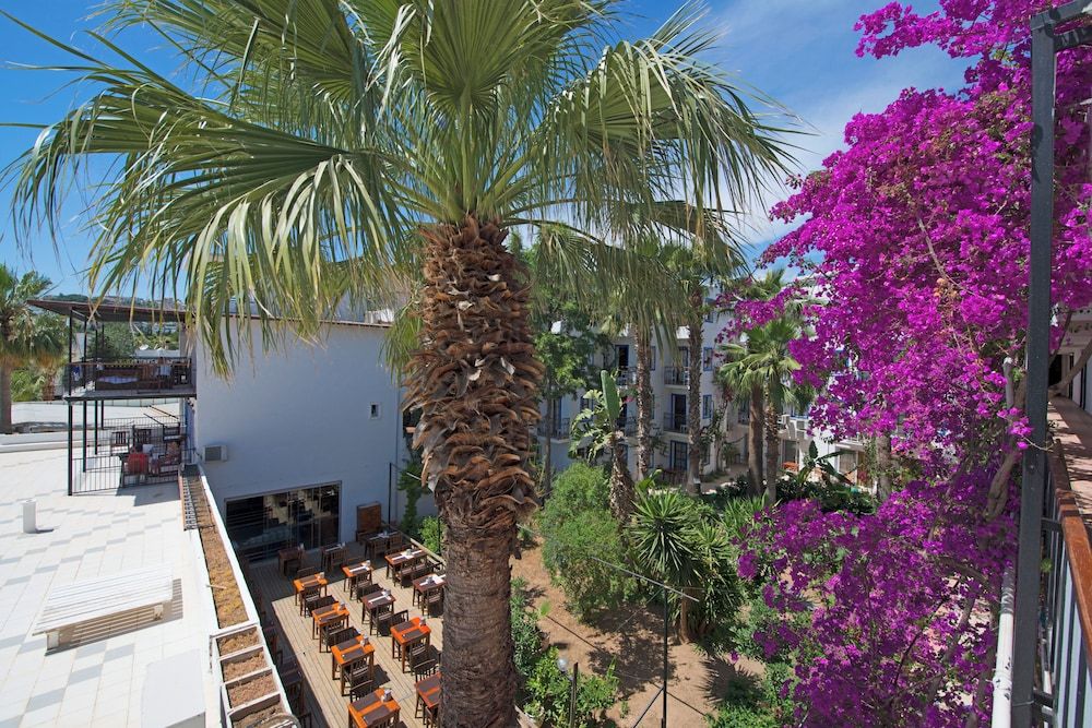 undefined Sami Beach Hotel 2