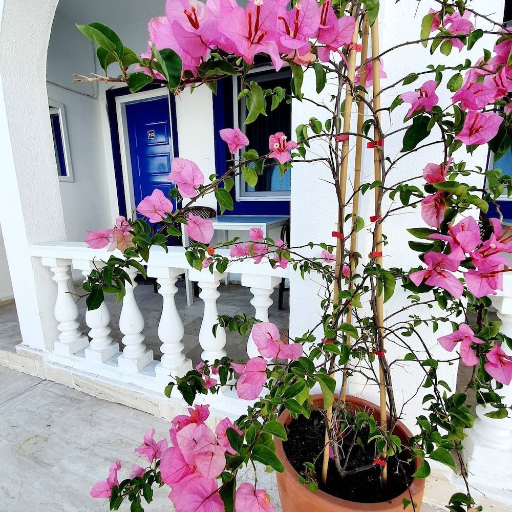 undefined Dreams Bodrum Otel 7