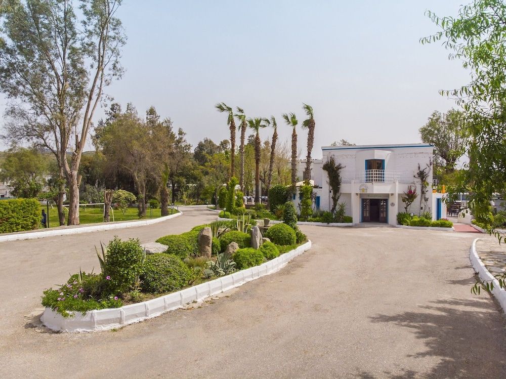 undefined Club Muskebi 5