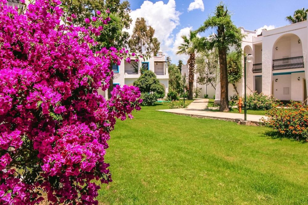 undefined Club Muskebi 10