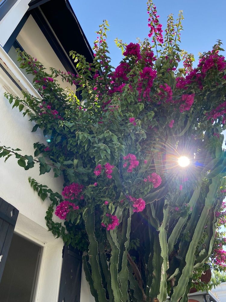 undefined Casa Tua 5