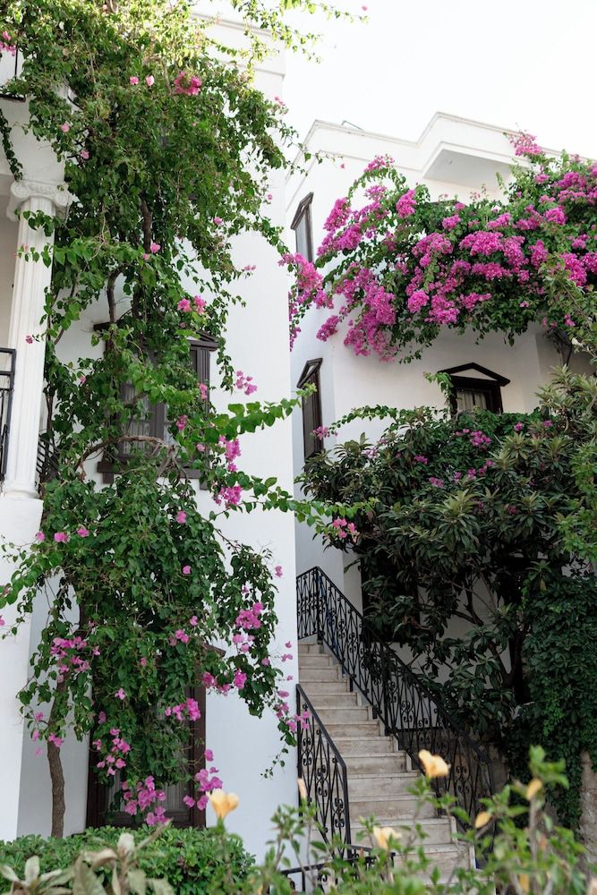 undefined Mare Garden Hotel Akyarlar 9