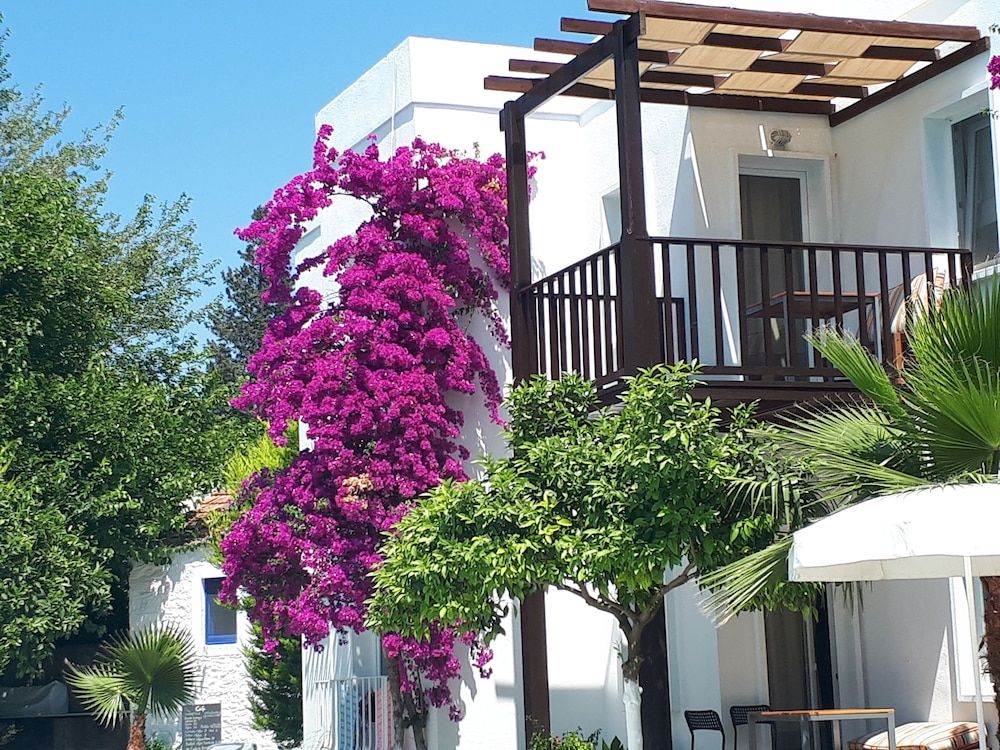 undefined Meis Apart Hotel 2