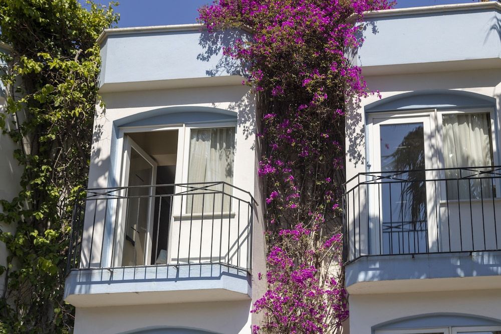 Smart Stay Beach Bodrum - All inclusive Standard Double or Twin Room 3