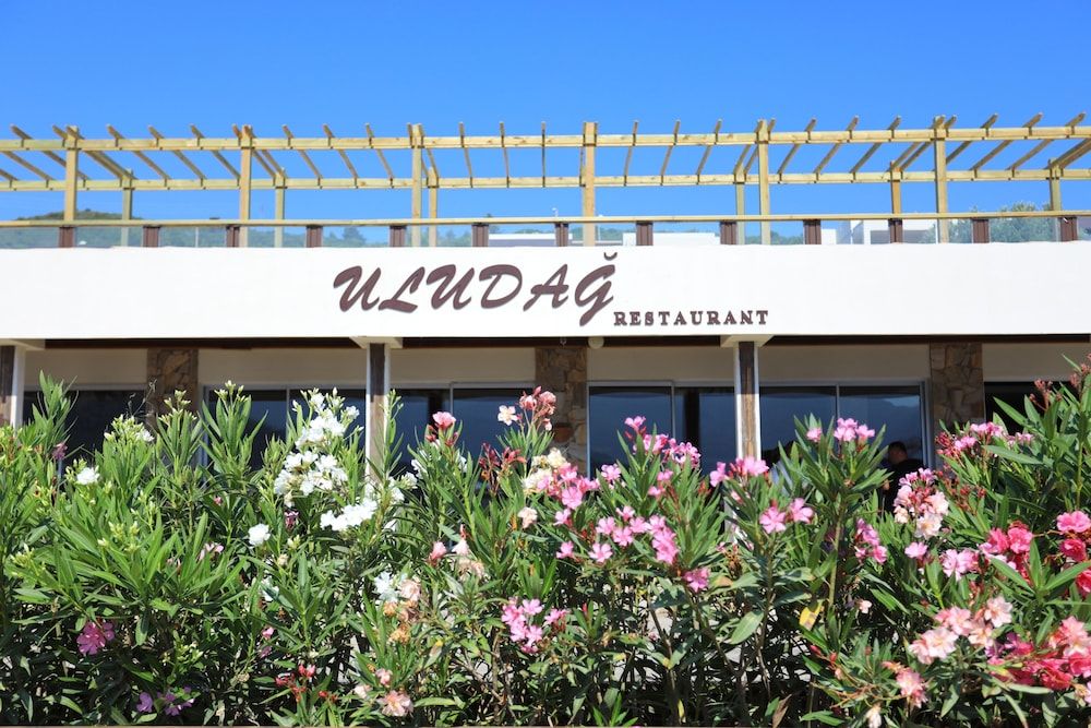 undefined TRENDLIFE HOTELS TORBA 6