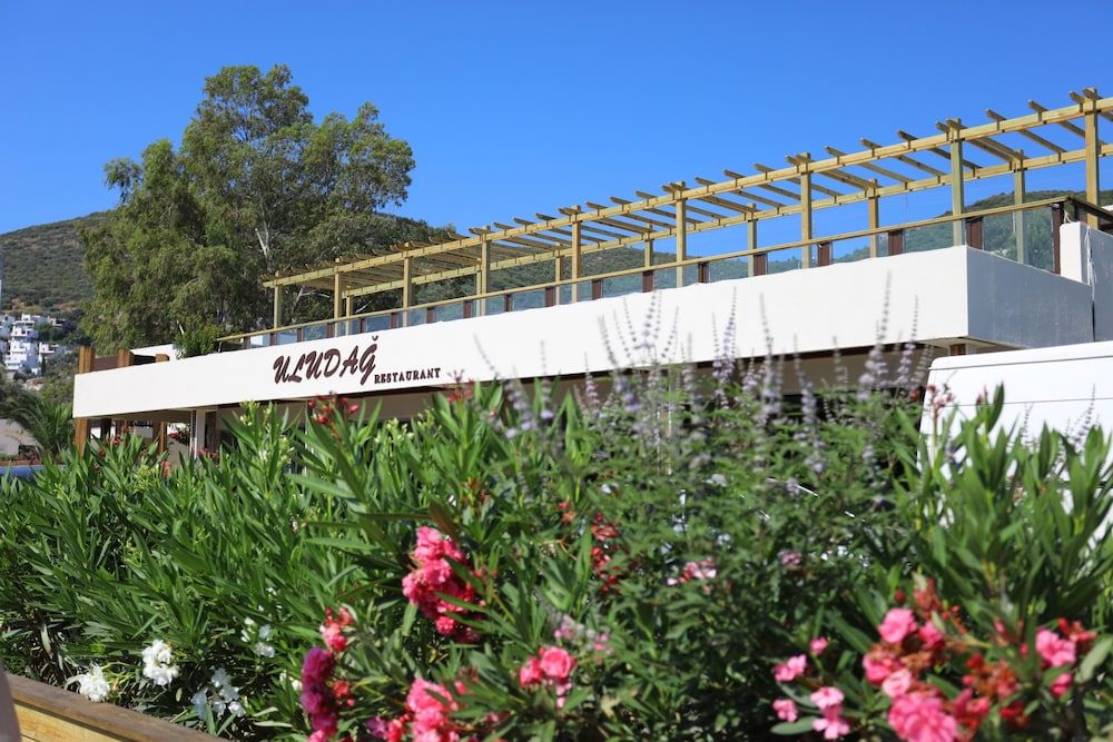 undefined TRENDLIFE HOTELS TORBA 7