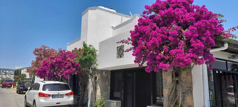 undefined Ayhan Suite Hotel 3