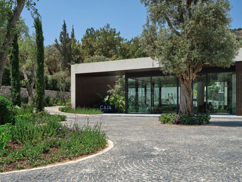 undefined Caja by Maxx Royal 9