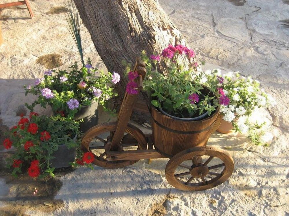 undefined Ayci Otel 7