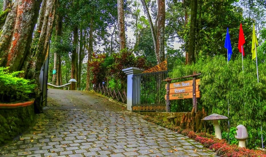 undefined Forest Haven Resort 7