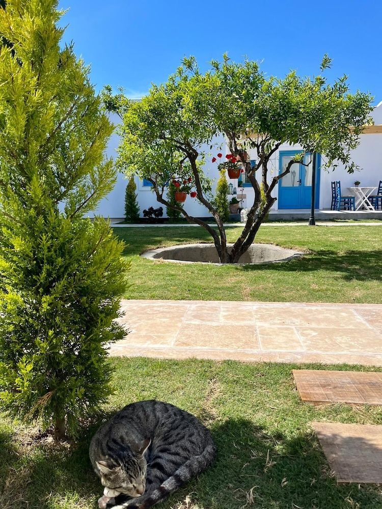 undefined Jakaranda Unique Apart 4