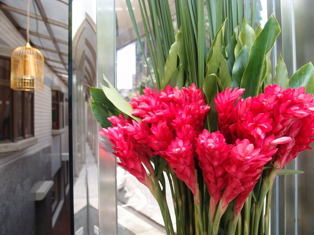 undefined Hotel 20 Alley 5