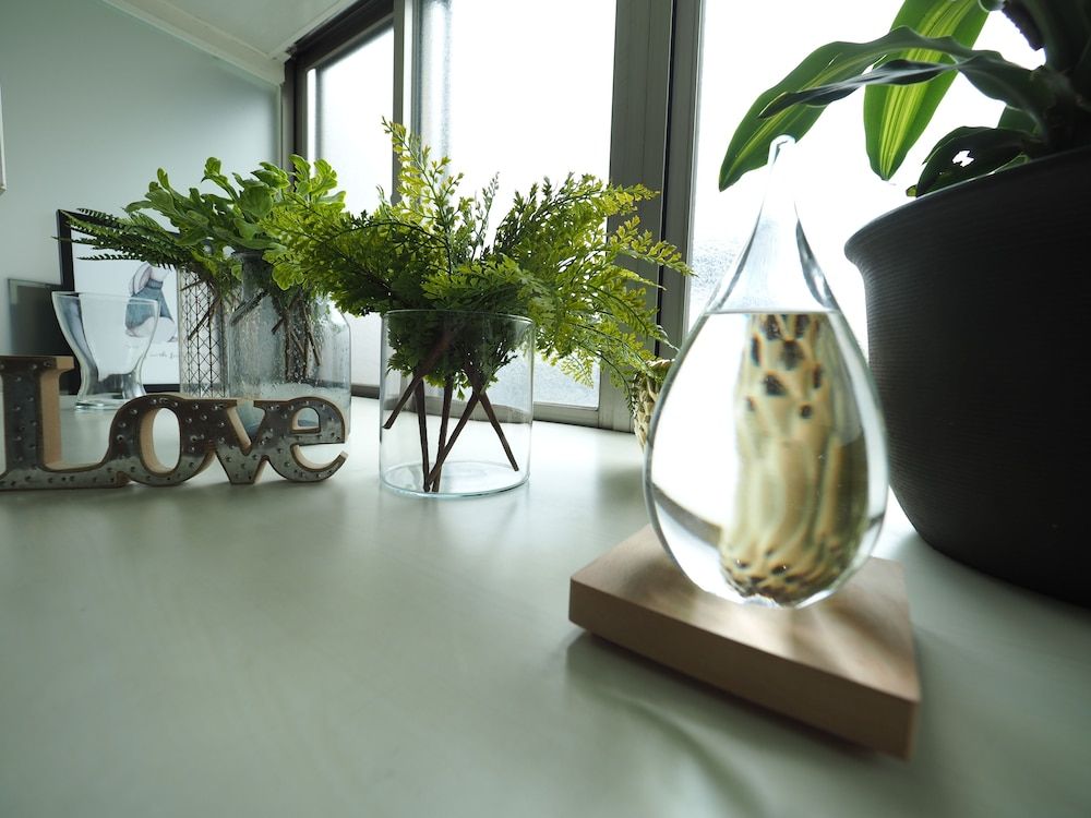 undefined Dong ONE Dong TWO 5