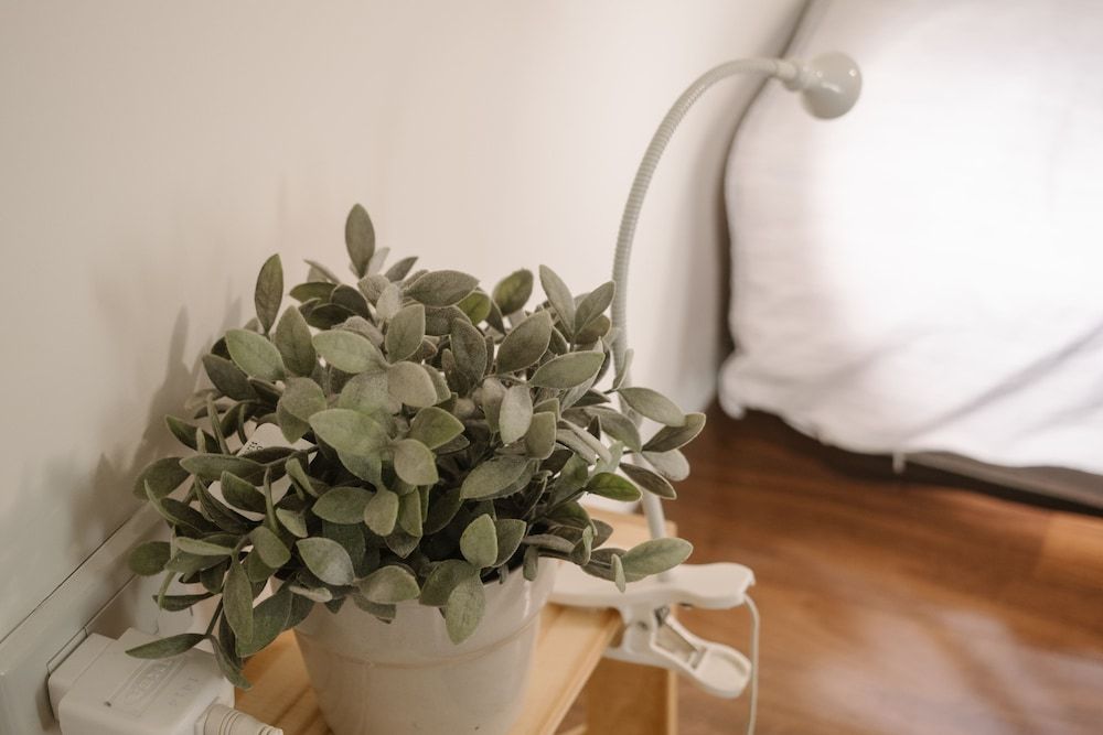 JN Home inn Family Apartment, 3 Bedrooms 15