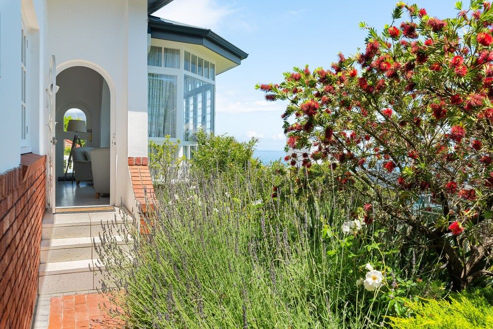 undefined Clifton Steps 6 2